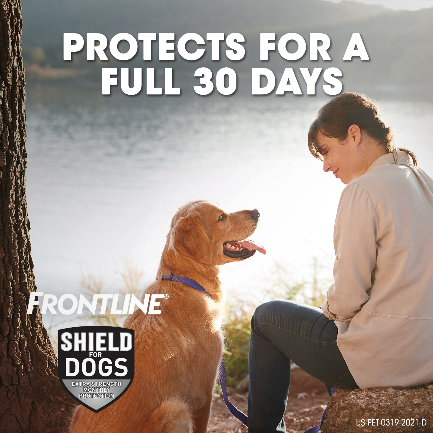 slide 6 of 8, Frontline Shield Topical Flea & Tick for Medium Dogs, 3 applications, 3 ct