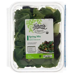 Nature's Promise Organic Spring Mix Lettuce Blend