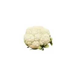 White Cauliflower