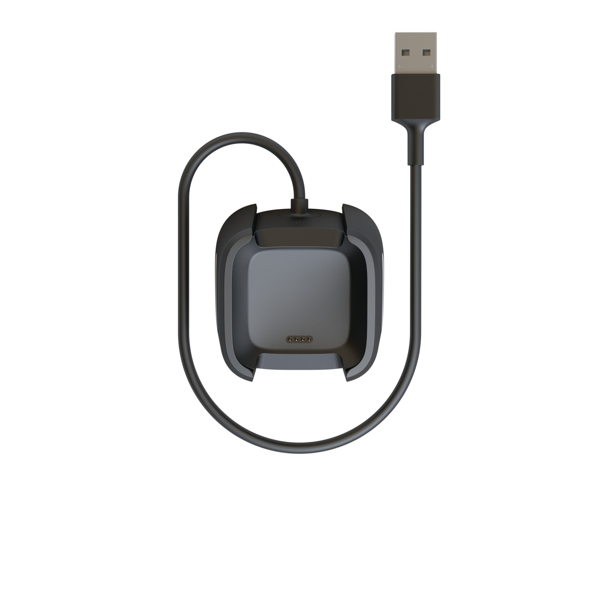 slide 1 of 1, Fitbit Versa Charging Cable - Black, 1 ct