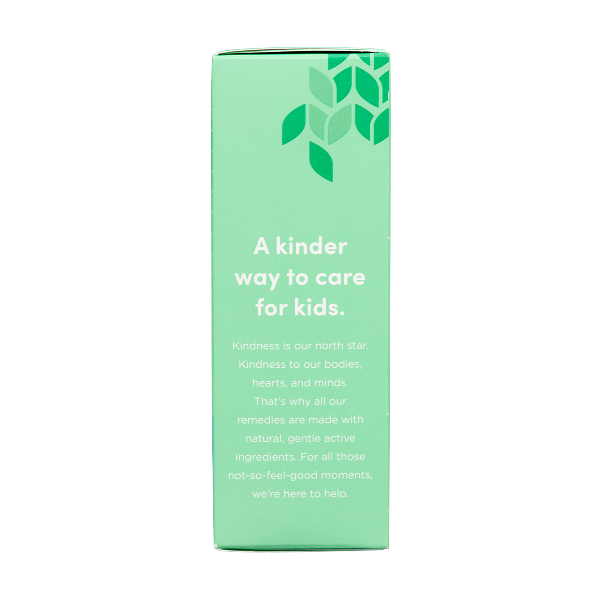 slide 2 of 4, Hyland's Cold'n Cough, 4 oz