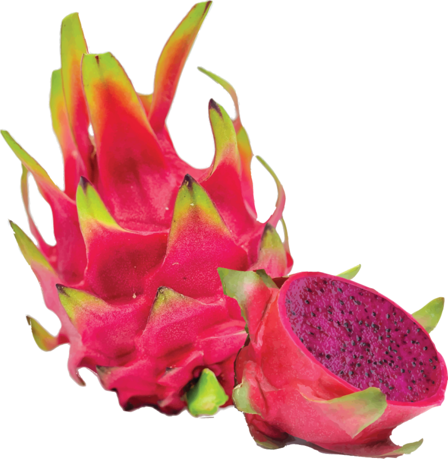 slide 1 of 1, Red Dragon Fruit, per ib