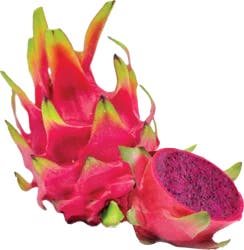 Red Dragon Fruit