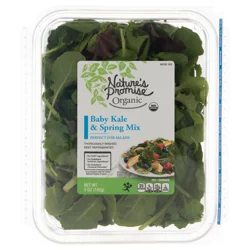Nature's Promise Organic Baby Kale & Spring Mix