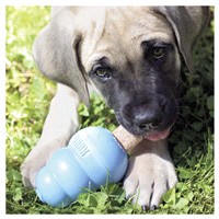 slide 15 of 21, KONG Ziggies Puppy Small, 1 ct