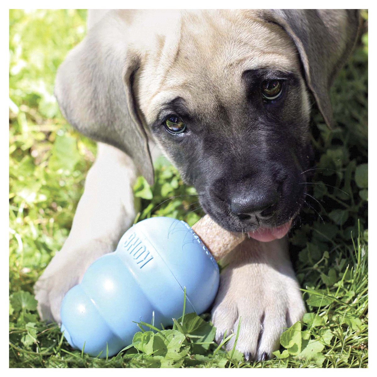 slide 17 of 21, KONG Ziggies Puppy Small, 1 ct