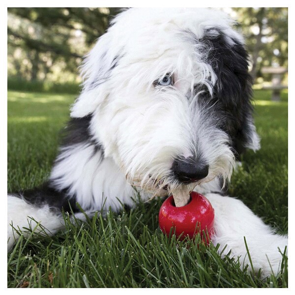 slide 12 of 13, KONG Ziggies, 1 ct