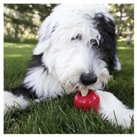 slide 11 of 13, KONG Ziggies, 1 ct