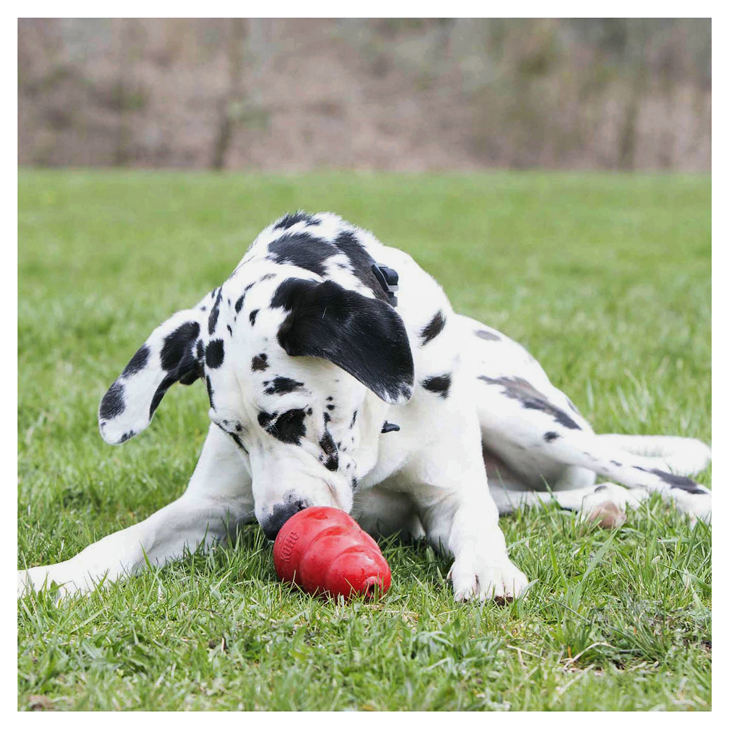 slide 2 of 2, KONG Stuff'N™ Real Peanut Butter 5 oz, 5.7 oz