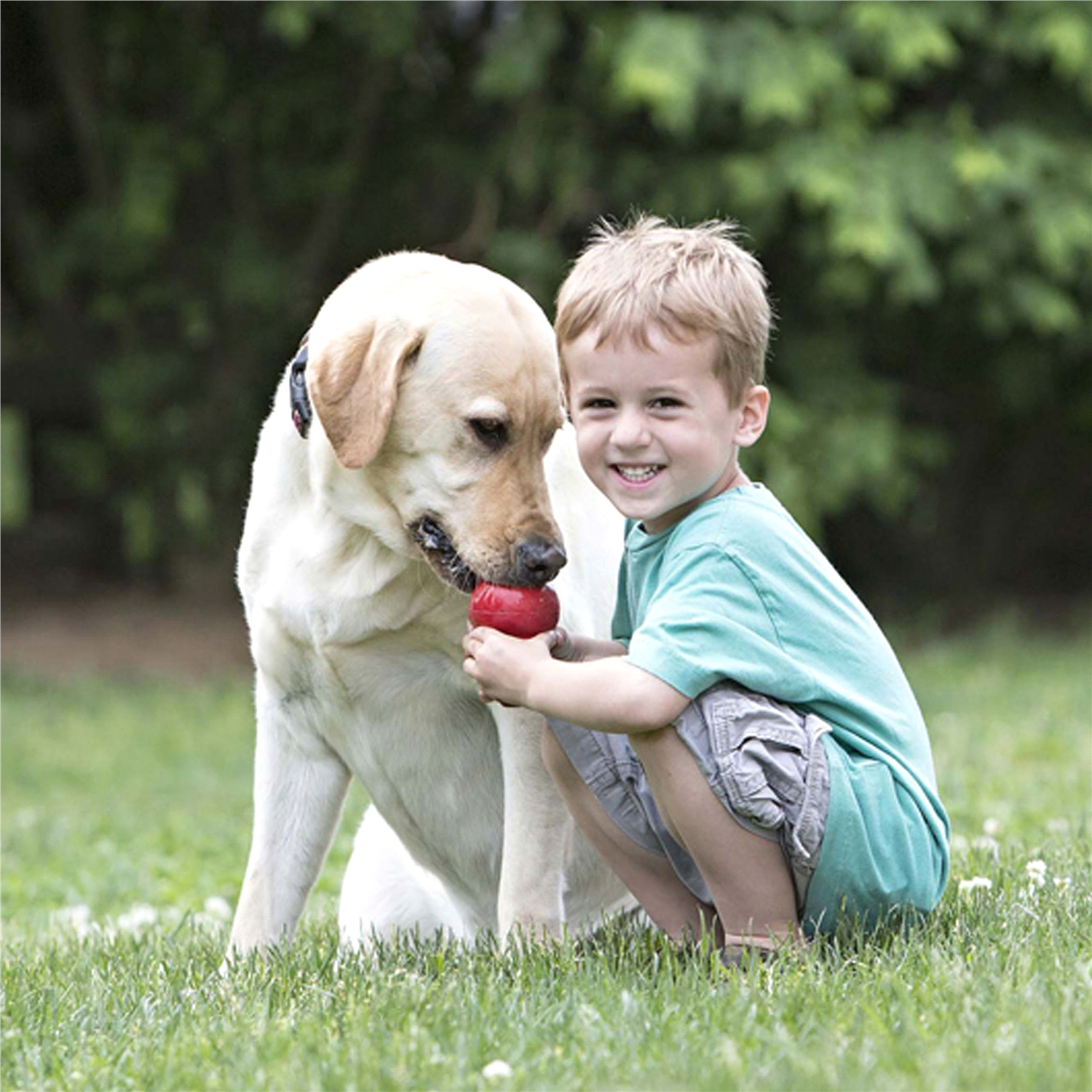 slide 5 of 5, KONG Classic Dog Toy XXL, XXL