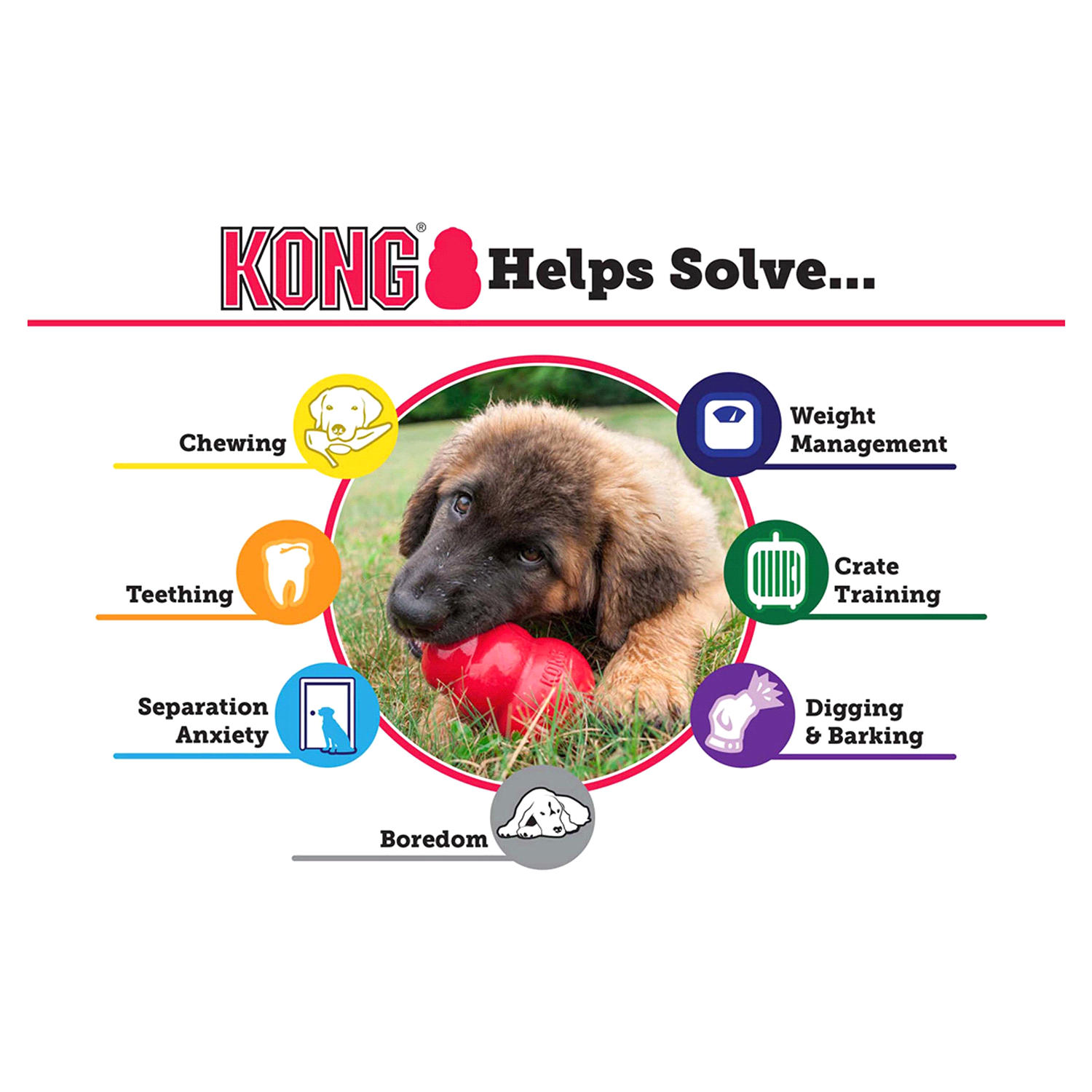 slide 2 of 5, KONG Medium Puppy Dog Toy 1 ea Card, 1 ct