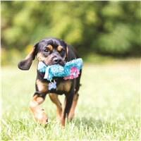 slide 7 of 9, KONG Cozie™ Marvin Moose Sm, 1.9 oz