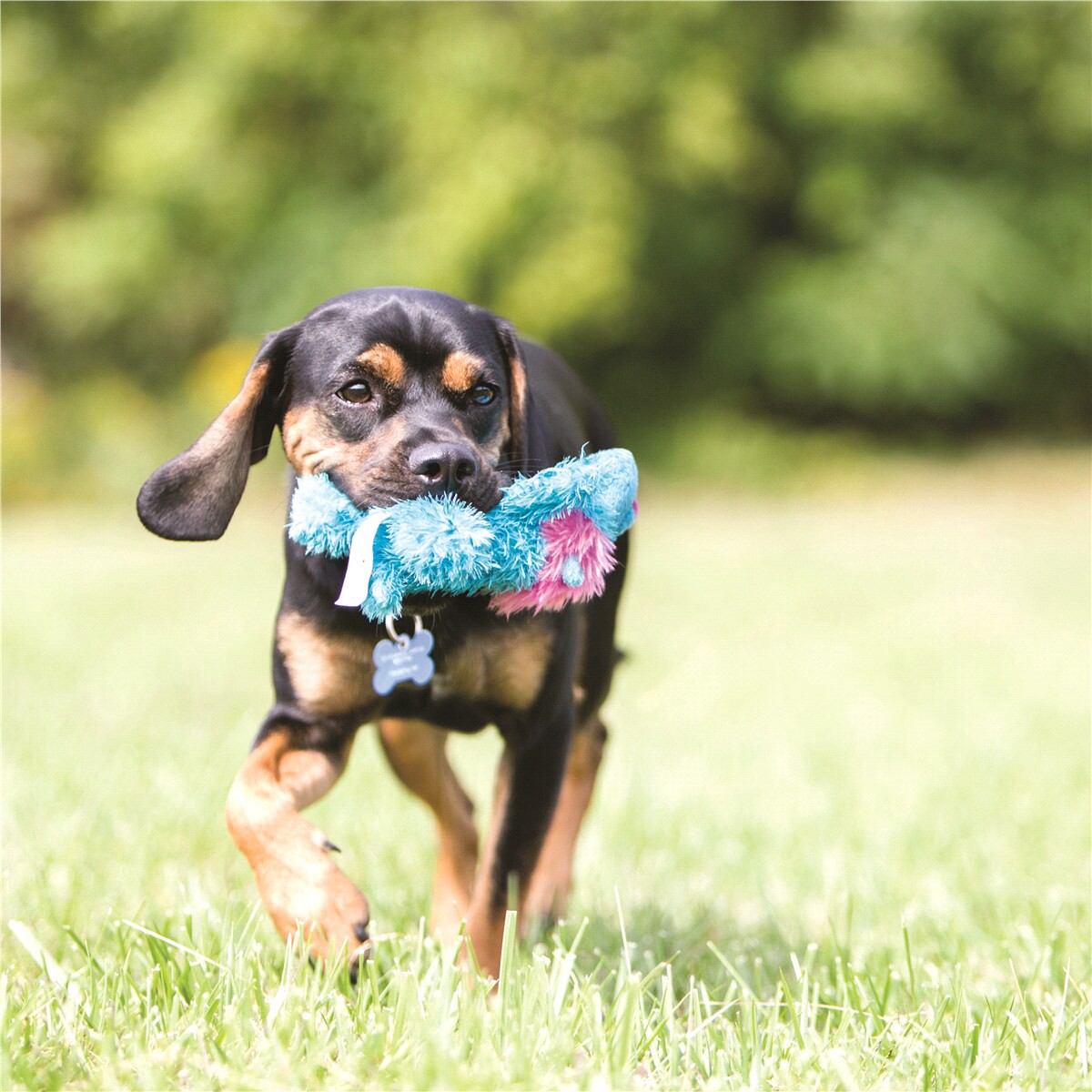 slide 9 of 9, KONG Cozie™ Marvin Moose Sm, 1.9 oz