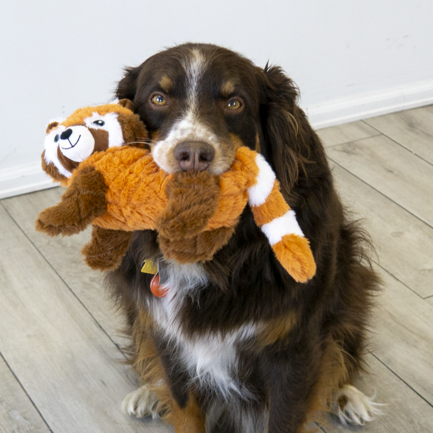 slide 3 of 4, KONG Red Scampers Panda Dog Toy, Medium, 1 ct