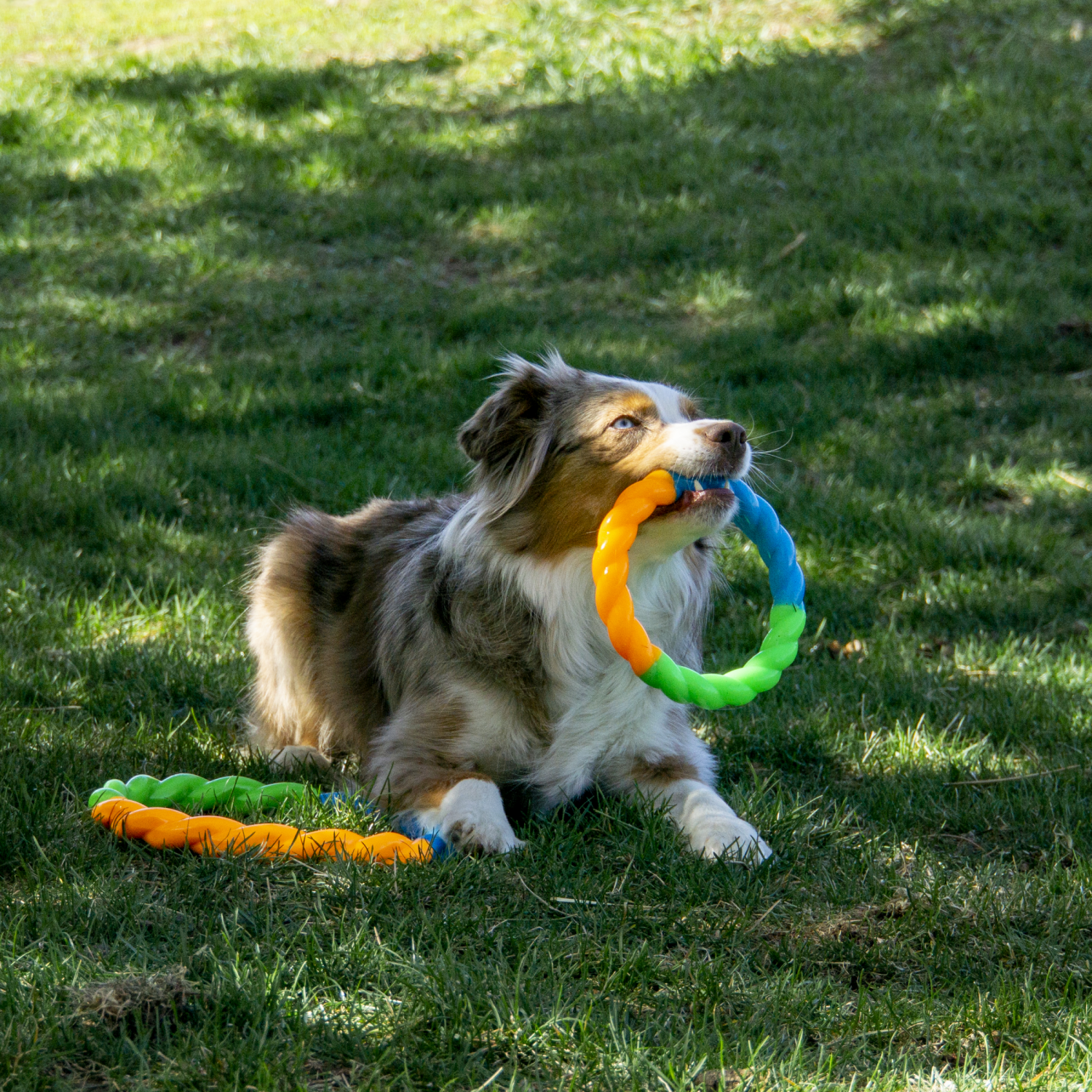 slide 3 of 4, Kong Twistz High Viz Ring, 1 ct