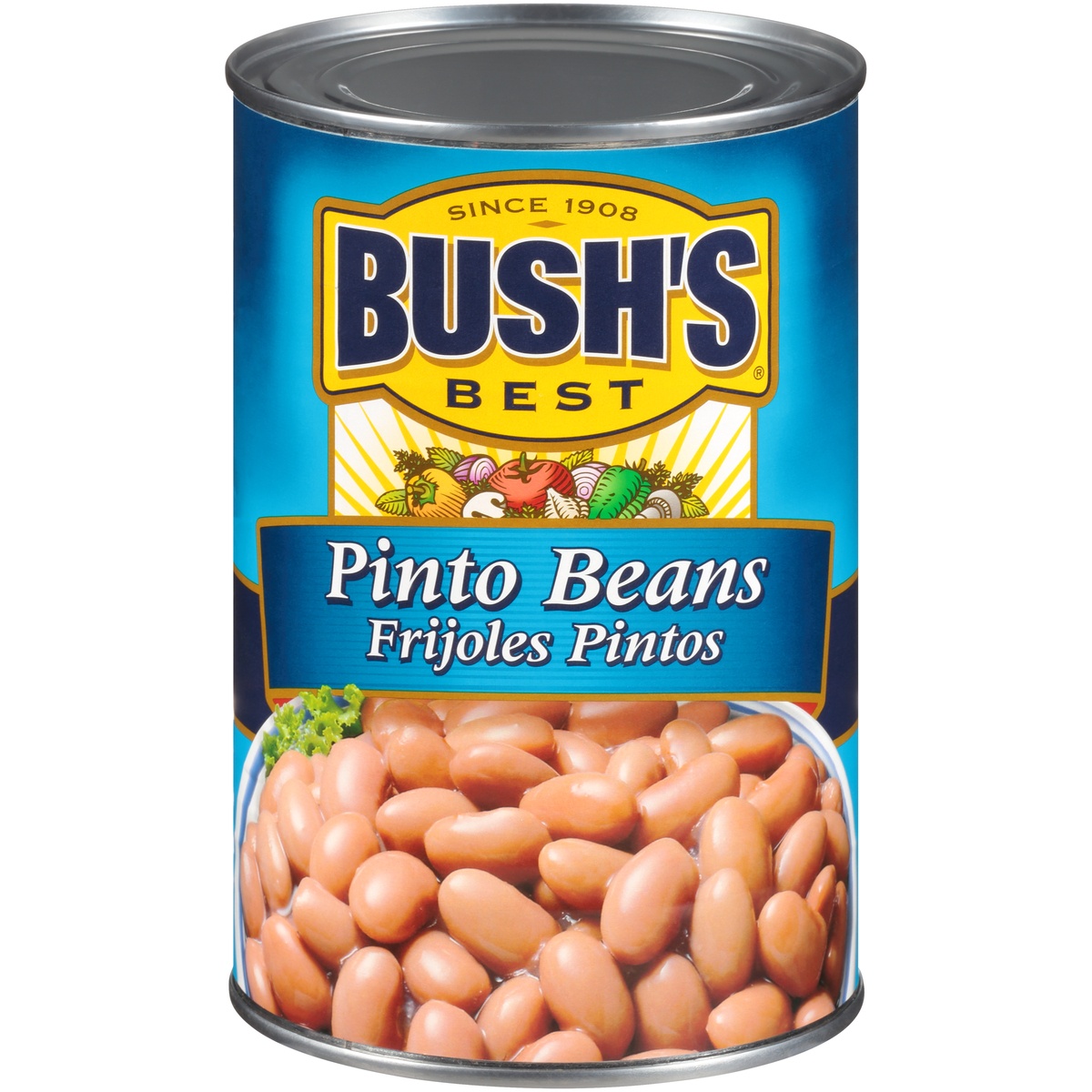 slide 1 of 1, Bush's Best Pinto Beans 41 oz. Can, 41 oz