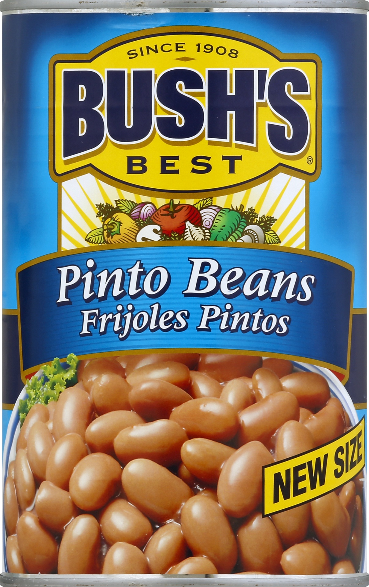 Bush's Pinto Beans 41 oz Shipt