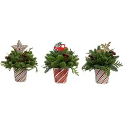 Bloom Haus Basket Centerpiece Floral Arrangement