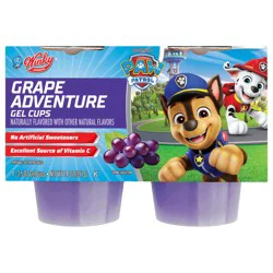 Winky Paw Patrol Grape Adventure Gel Snacks