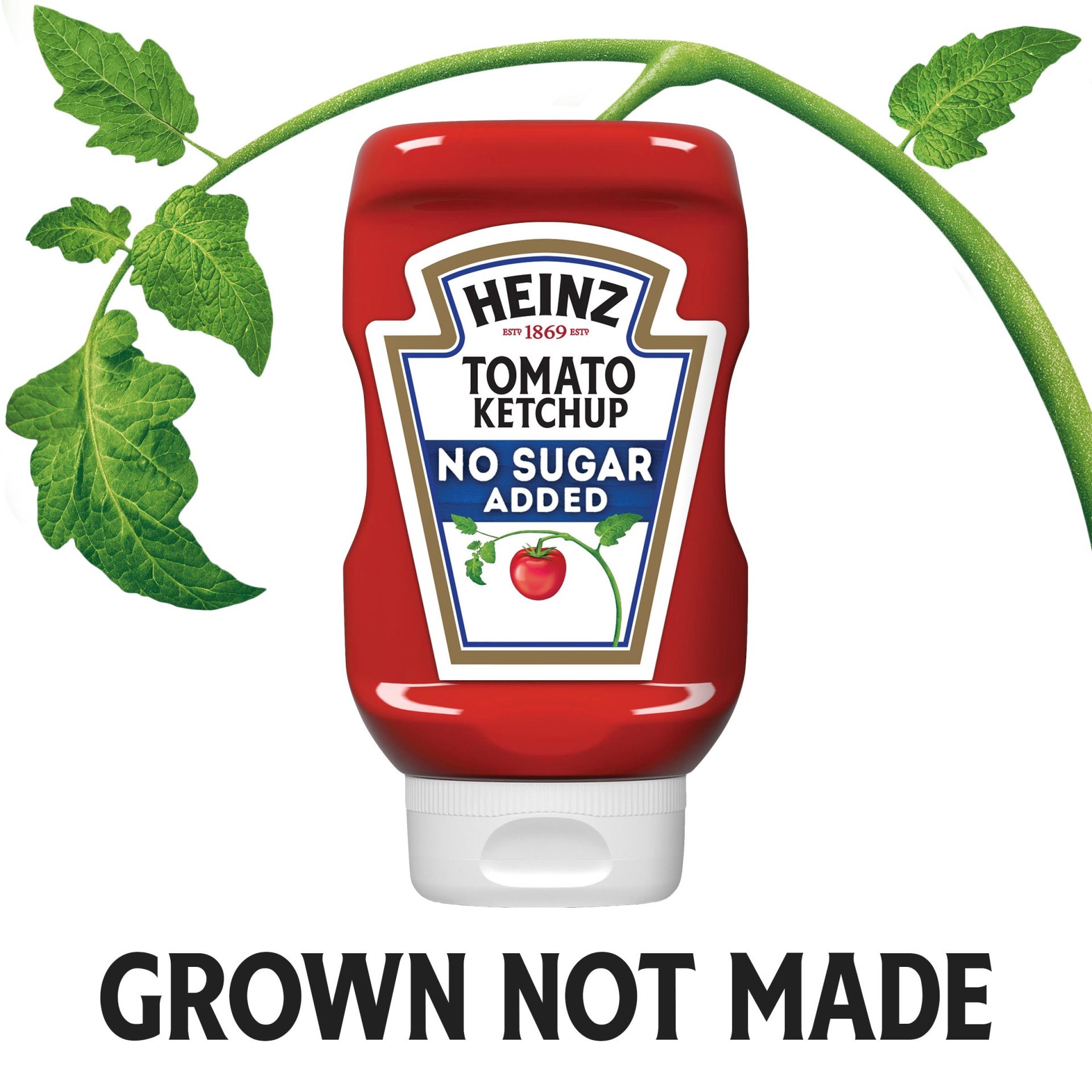 slide 8 of 12, Heinz Ketchup 13 oz, 13 oz