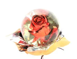 Rose Globe Arrangement