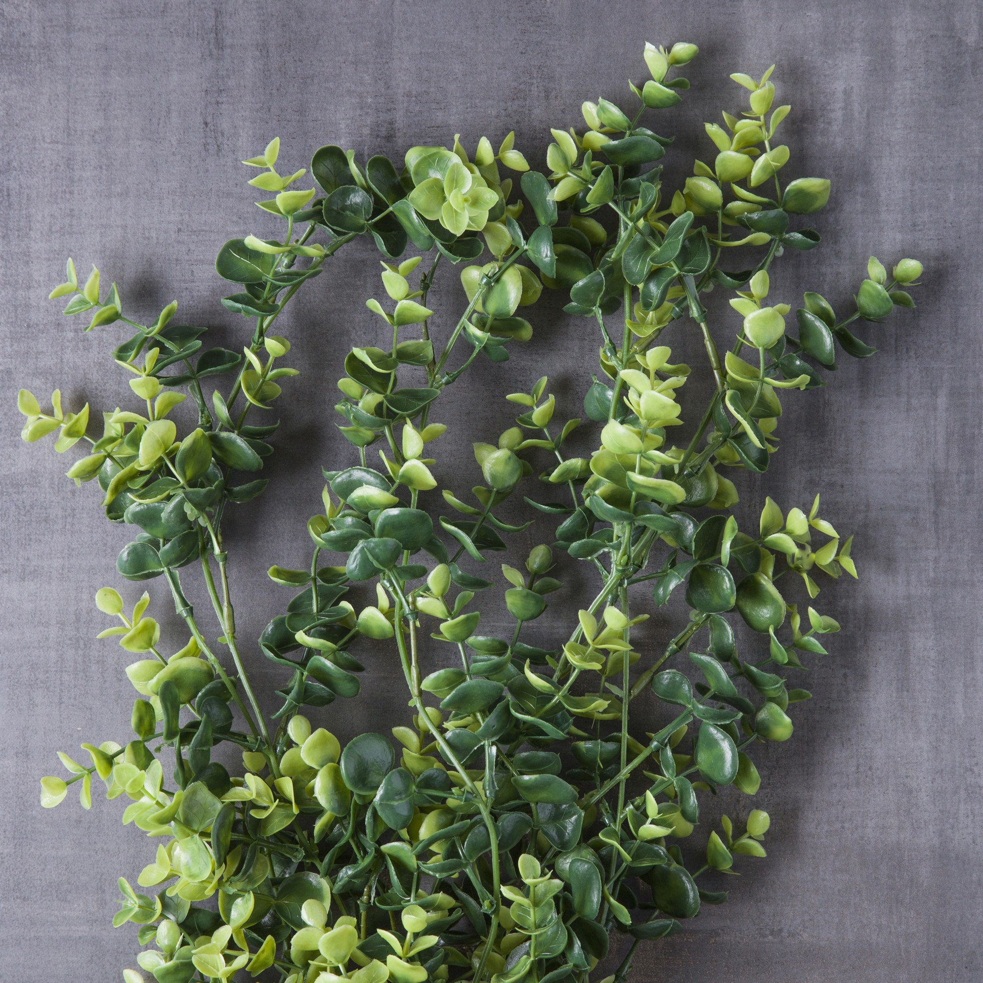 slide 2 of 4, Green Hanging Eucalyptus Bush By Ashland, 24.5 in