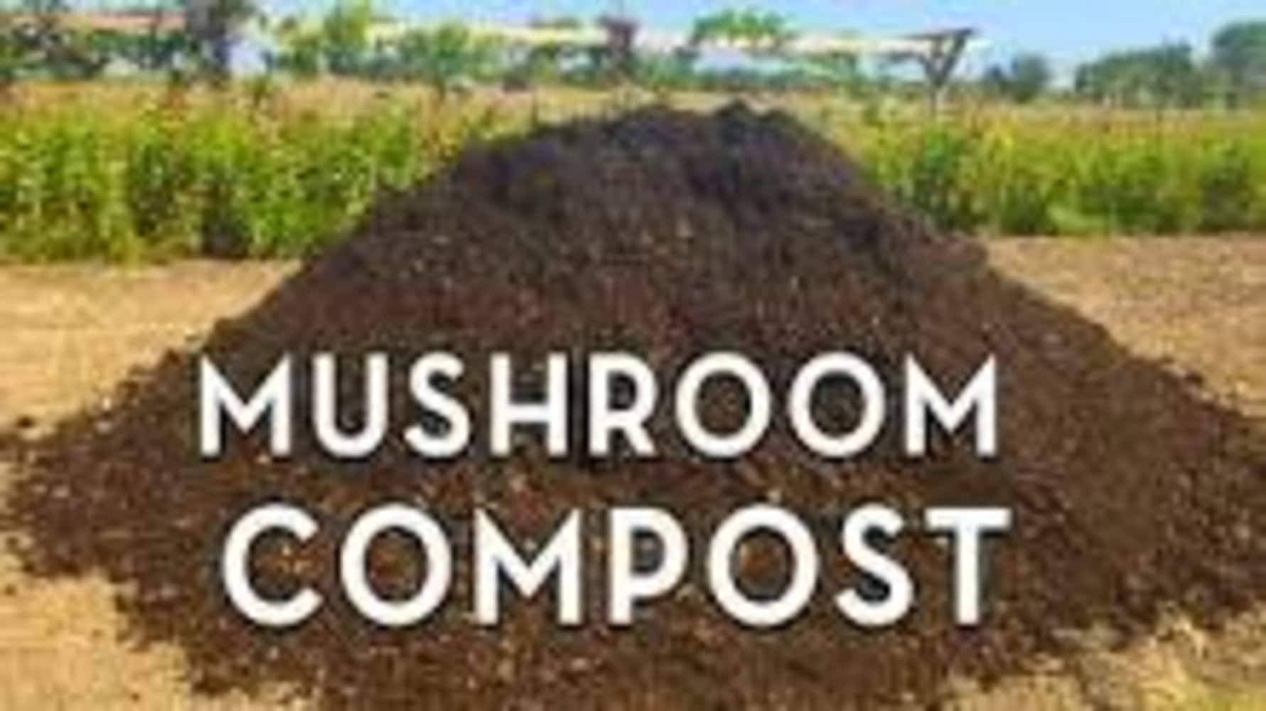 slide 4 of 5, Permagreen 1.5-cu ft. Organic Compost Provides organic nutrients, 1 ct
