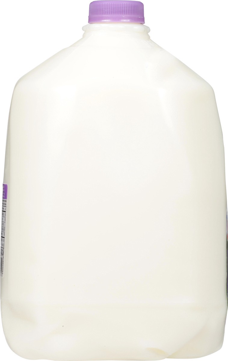 slide 2 of 9, Swiss Fat Free Milk 1 gl, 1 gal