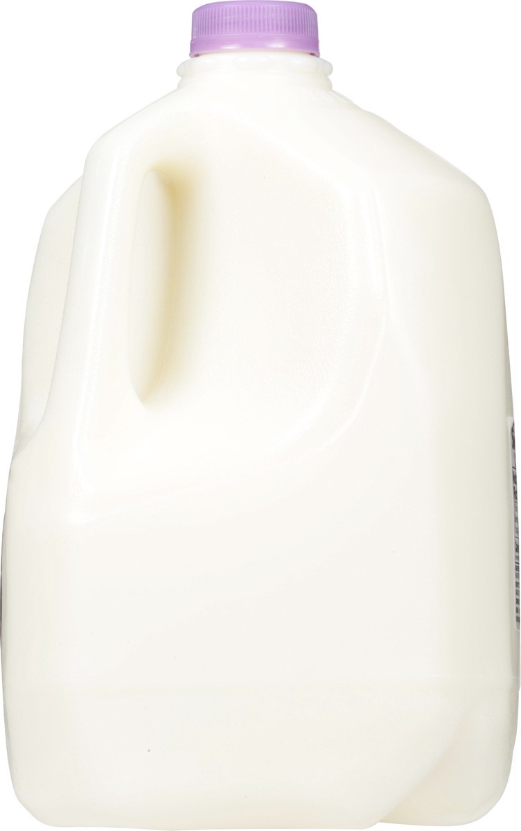 slide 6 of 9, Swiss Fat Free Milk 1 gl, 1 gal