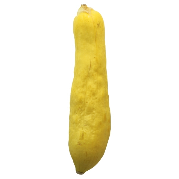 slide 1 of 1, Yellow Squash, per lb