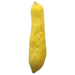 Yellow Squash