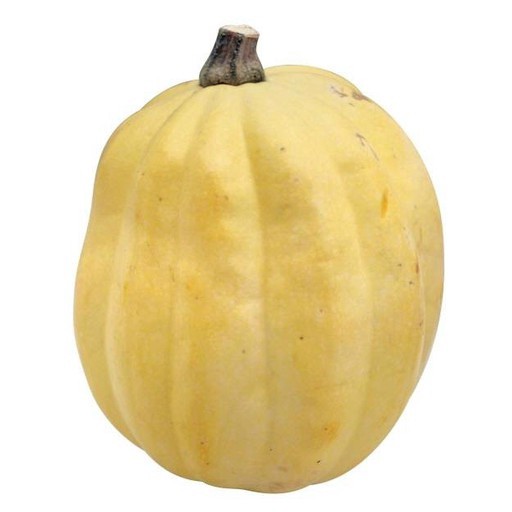 slide 1 of 1, Fresh White Acorn Squash, 1 ct