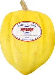Fresh White Acorn Squash