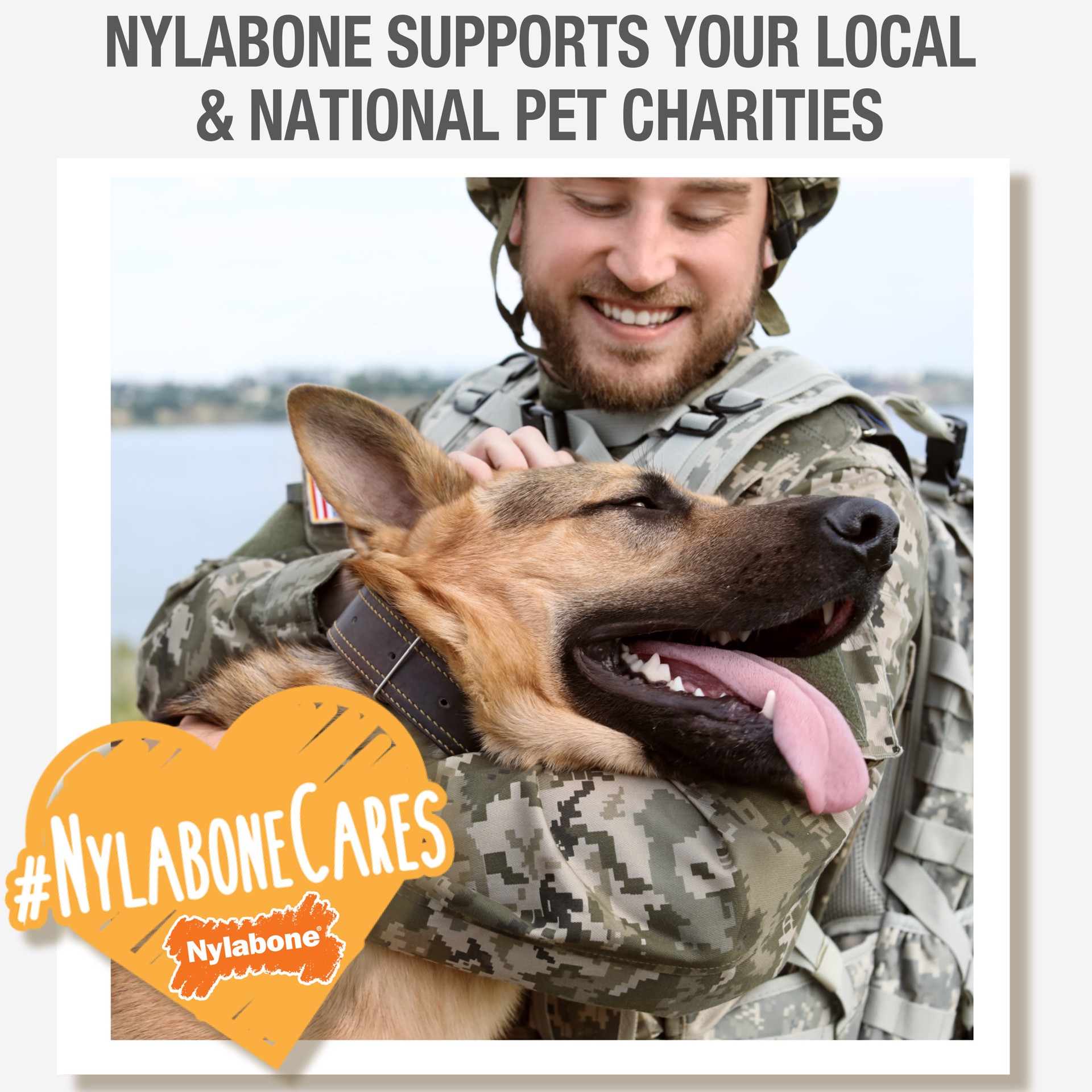 slide 7 of 9, Nylabone Nubz Wild Bison Small Dog Treats, 4 ct