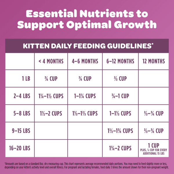 slide 8 of 25, 9 Lives Dry Cat Food Kitten, 2.5 lb