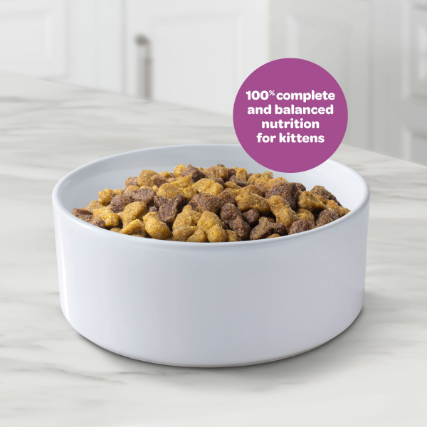 slide 12 of 25, 9 Lives Dry Cat Food Kitten, 2.5 lb