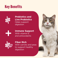 slide 16 of 29, Rachael Ray Chkn Brn Rc Slmn Cat Food, 3 lb