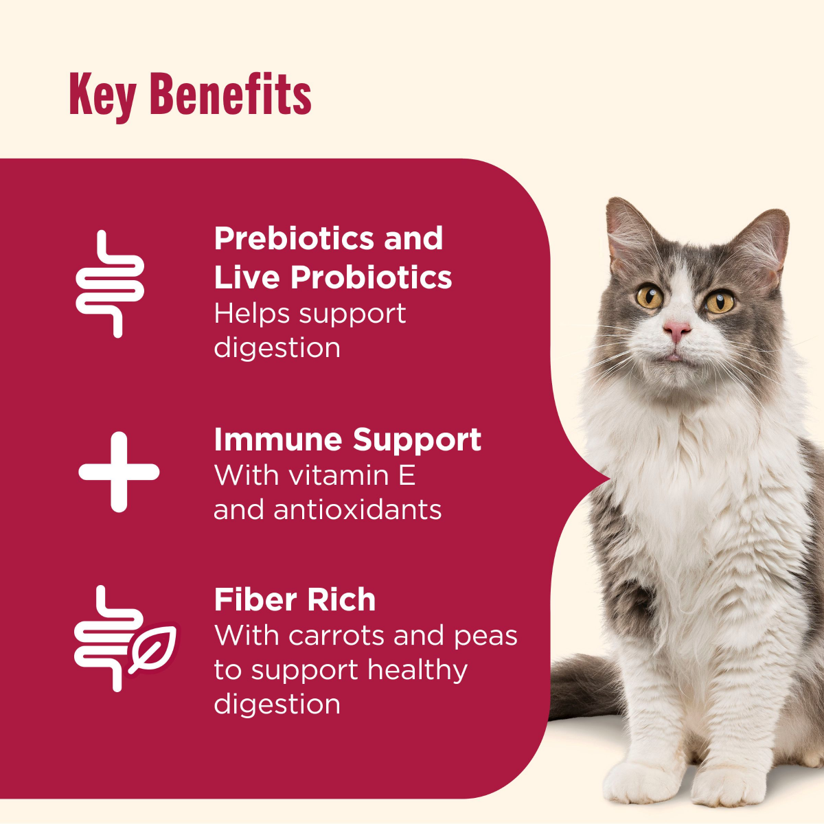 slide 23 of 29, Rachael Ray Chkn Brn Rc Slmn Cat Food, 3 lb