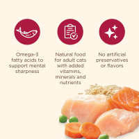 slide 21 of 29, Rachael Ray Chkn Brn Rc Slmn Cat Food, 3 lb