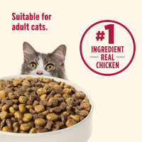 slide 10 of 29, Rachael Ray Chkn Brn Rc Slmn Cat Food, 3 lb