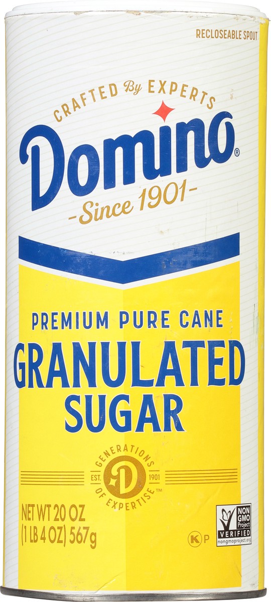 slide 2 of 9, Domino Sugar Canister - 20 oz, 20 oz