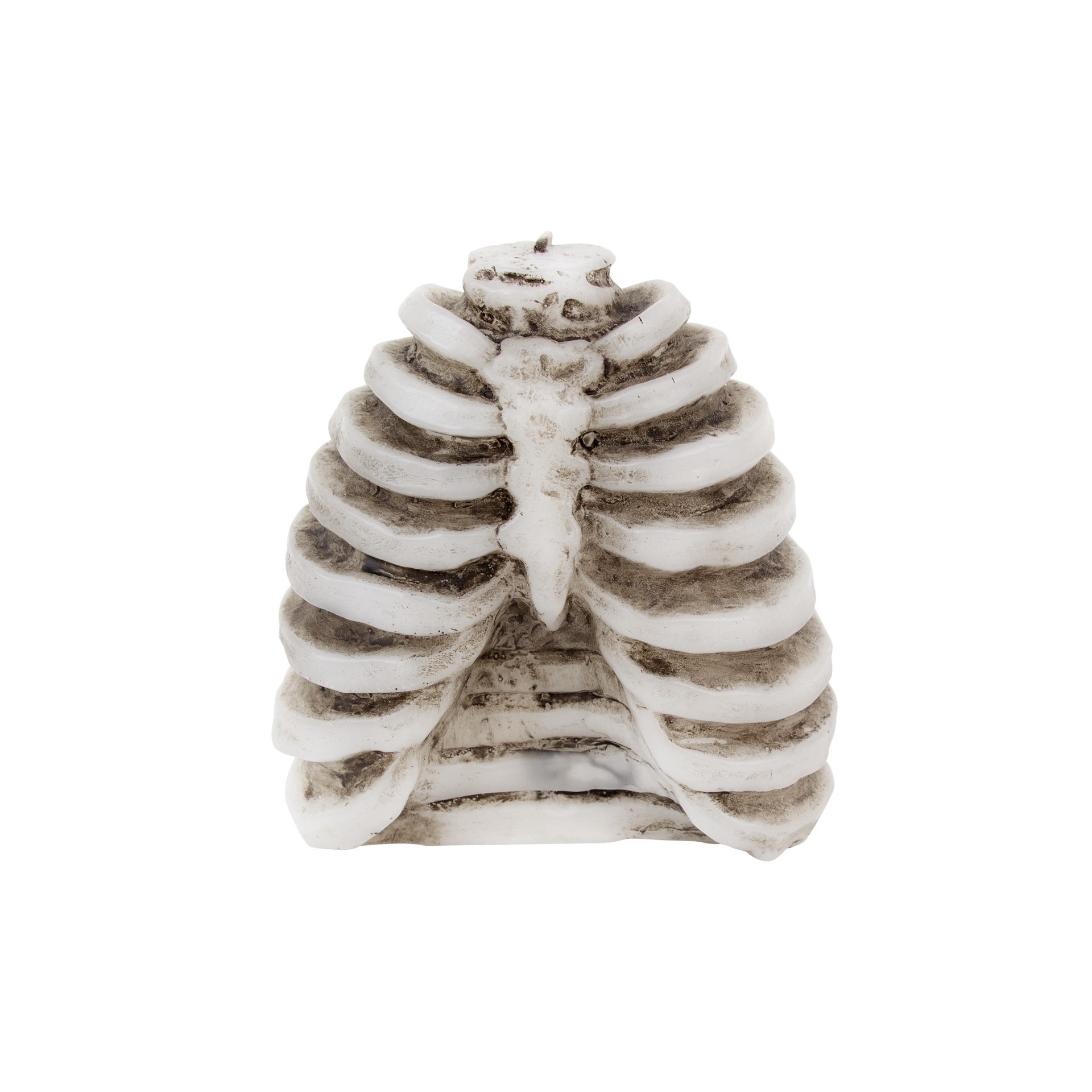 slide 3 of 3, Ribs Bleeding Candle By Ashland, 4.47 in x 2.62 in x 4.72 in