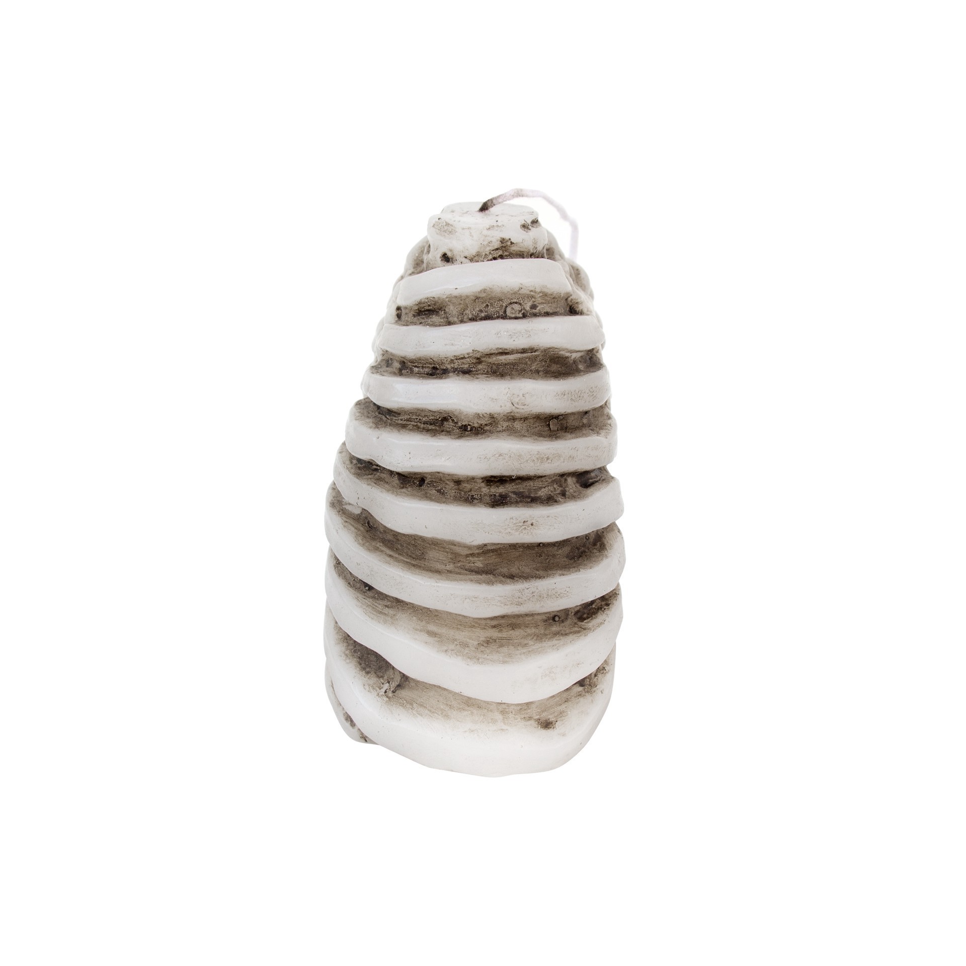 slide 2 of 3, Ribs Bleeding Candle By Ashland, 4.47 in x 2.62 in x 4.72 in