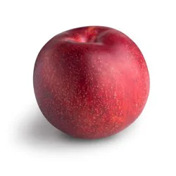 Red Plumcot (Interspecific Plum)