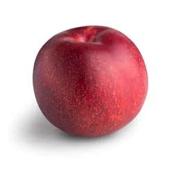 Red Plumcot (Interspecific Plum)