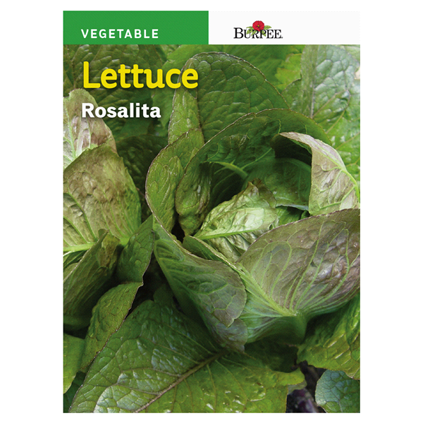 slide 1 of 1, Burpee Italian Lettuce Head Rosalita Seeds, 1 ct