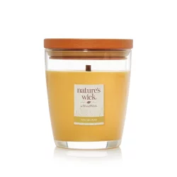 Woodwick Nature's Wick Medium Jar Candle, Golden Pear