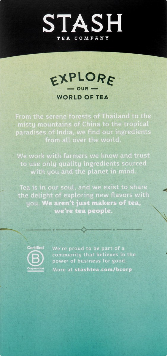 slide 8 of 12, Stash Moroccan Mint Green Tea - 30 ct, 30 ct