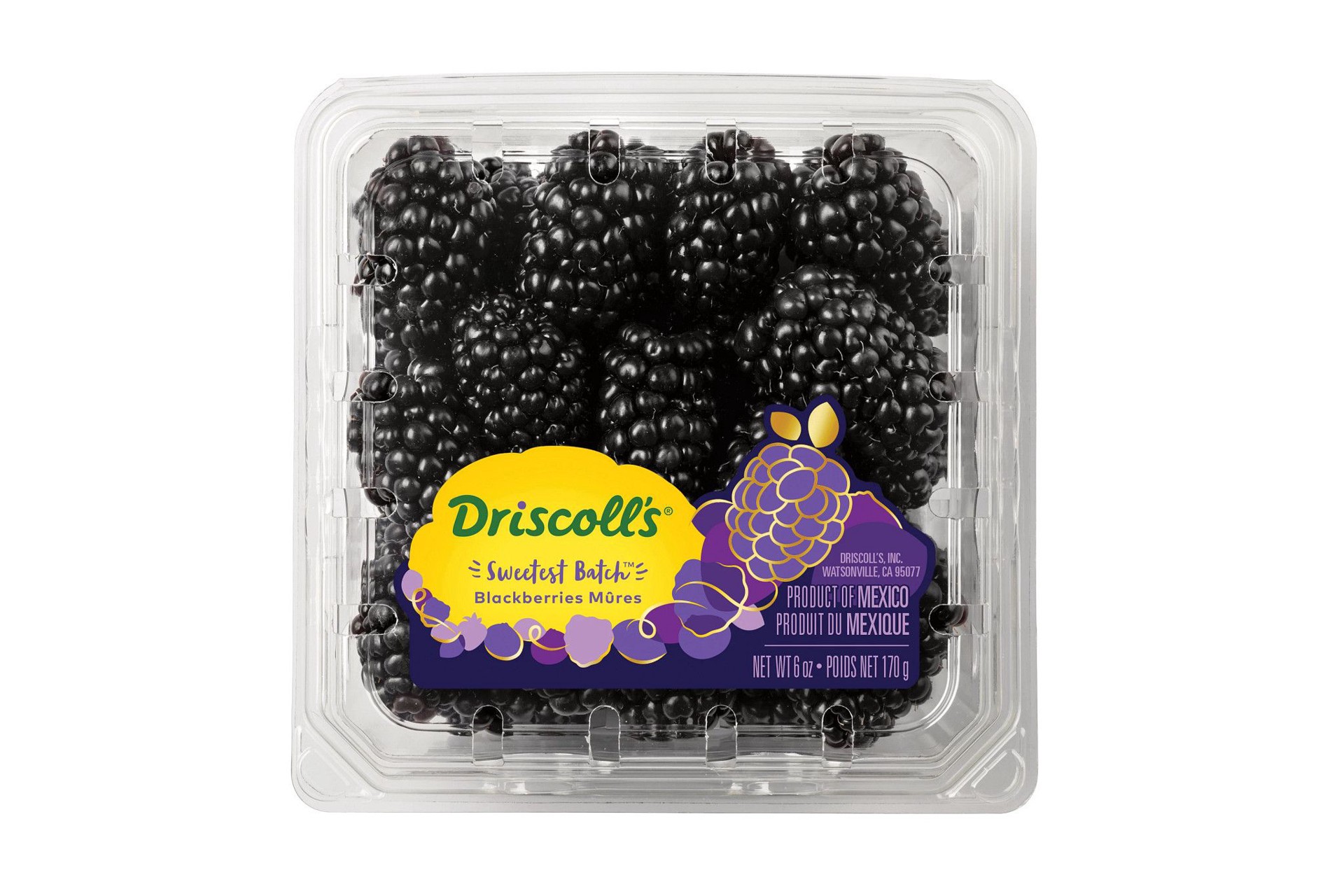 slide 1 of 7, Driscoll's Sweetest Batch Blackberries, Extra Sweet, Conventional, 6 oz., 6 oz