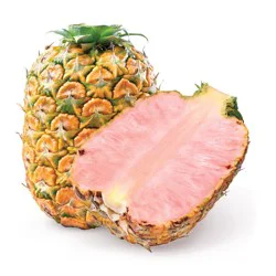 Pink Pineapple